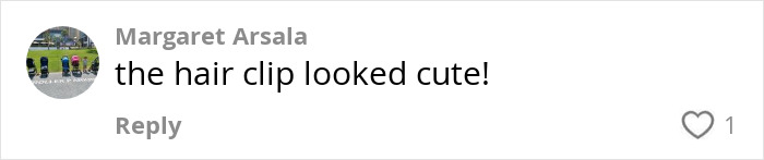 Comment mentioning a hair clip amid buzz about red carpet temper tantrum. Comment mentioning a hair clip amid buzz about red carpet temper tantrum.