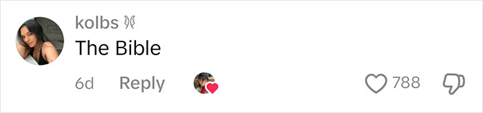 Comment about judging people based on owning the book "The Bible," with engagement metrics visible. Comment about judging people based on owning the book "The Bible," with engagement metrics visible.