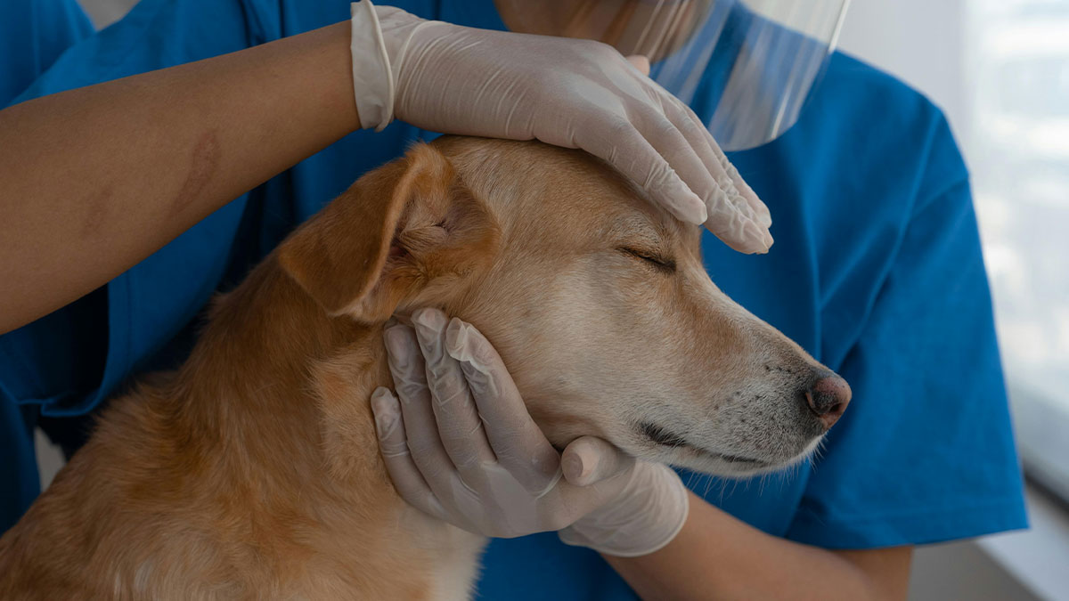 Guy Blows His Salary On Toys And Games, Expects GF To Bail Him Out In An Emergency