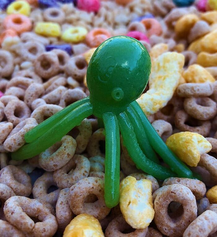 Green toy octopus among cereal, symbolizing gradually disappeared things.