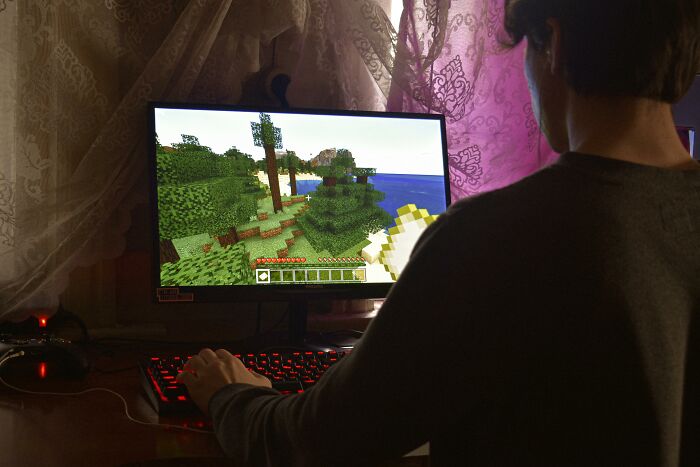 Person playing Minecraft on a PC, highlighting gaming as a potential bullying reason.