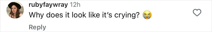 Comment questioning a doll's expression, related to Kim Kardashian backlash. Comment questioning a doll's expression, related to Kim Kardashian backlash.