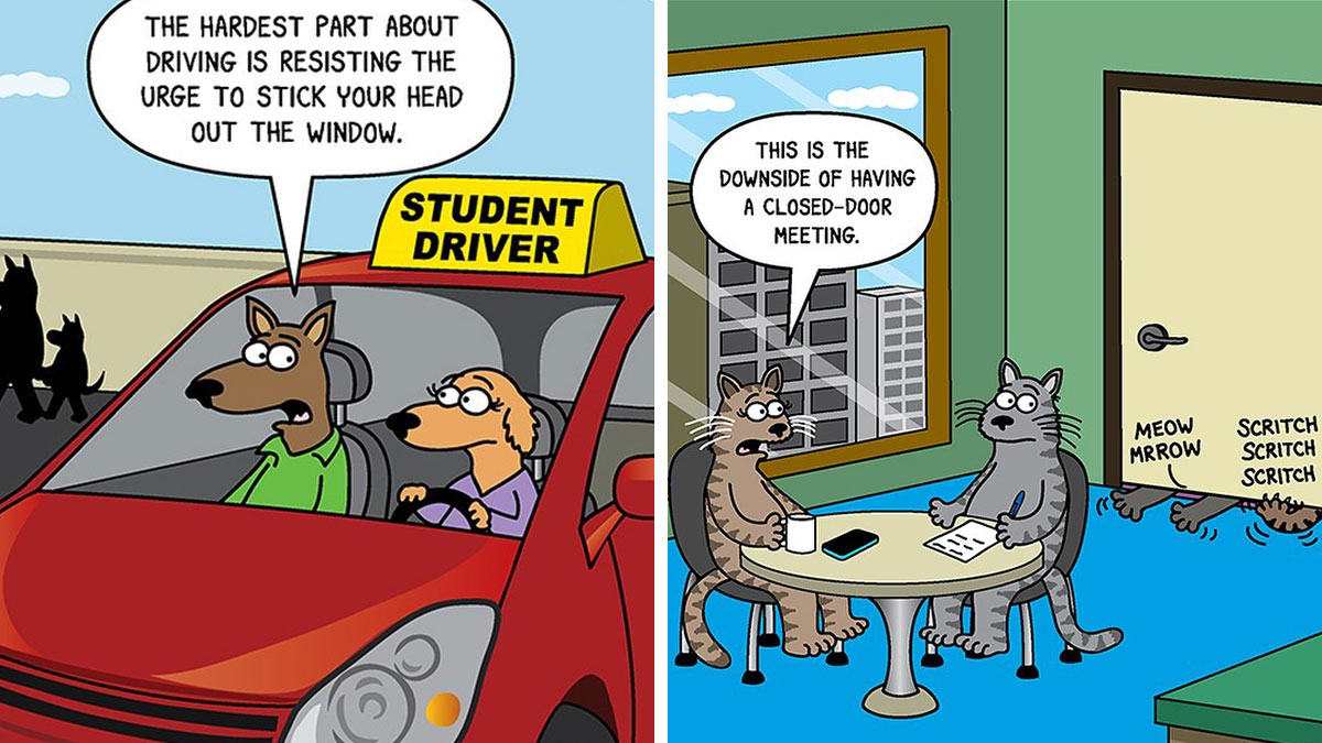25 Of The Funniest Cat And Dog Comics By Scott Metzger That Perfectly Reveal Their Nature (New Pics)