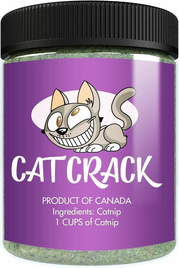 cat-crack-67e6c8674777d.jpg