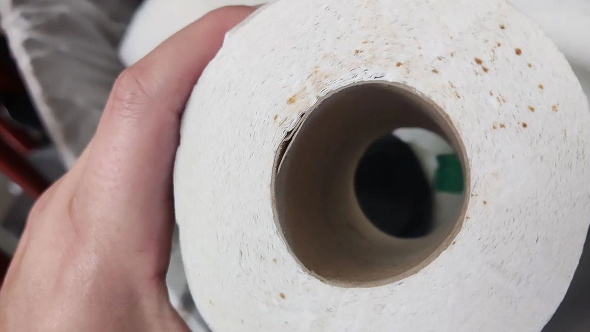New Fear Unlocked As Experts Warn About Hidden Needle Marks In Public Restrooms Toilet Paper