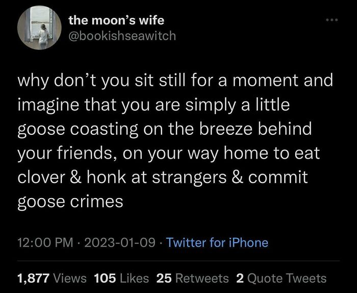 Twitter post about imagining life as a carefree goose, showcasing cheerful nihilism memes.