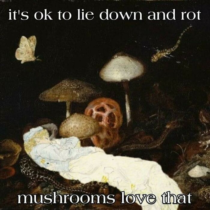 Mushrooms amidst a dark forest scene with cheerful nihilism meme text above and below.