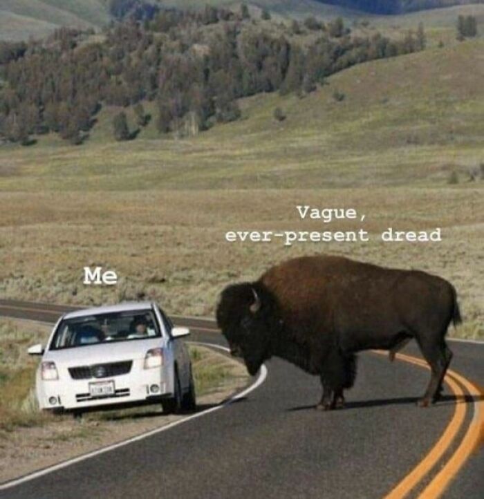 Car labeled "Me" faces a bison labeled "Vague, ever-present dread" on a road, depicting a cheerful nihilism meme.