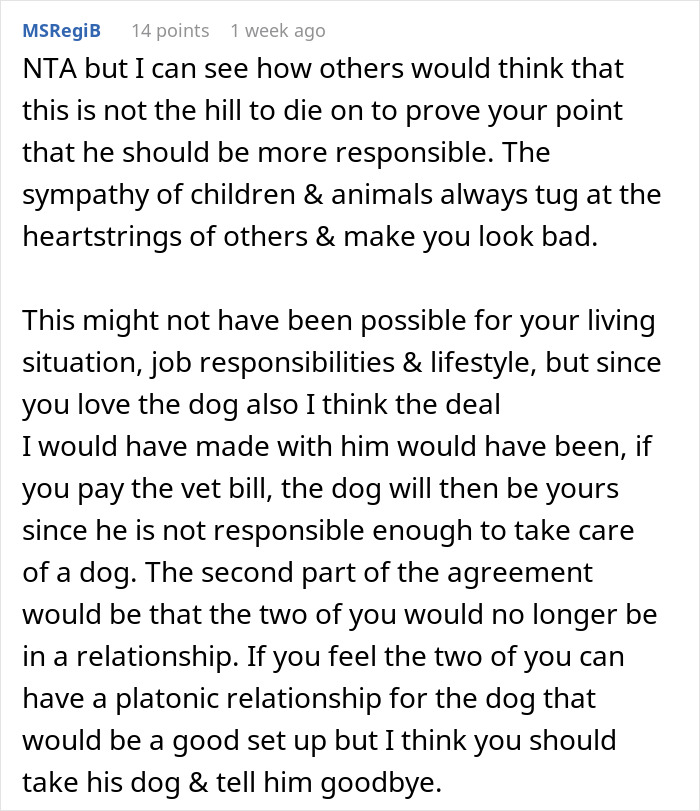 Comment discussing irresponsible spending, vet bills, and relationship issues regarding a boyfriend's behavior. Comment discussing irresponsible spending, vet bills, and relationship issues regarding a boyfriend's behavior.