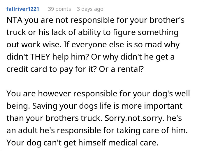 Reddit comment expressing support for a woman prioritizing spending on her dog over lending money to her brother. Reddit comment expressing support for a woman prioritizing spending on her dog over lending money to her brother.