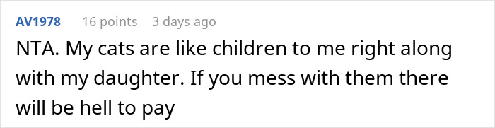 User comment emphasizing their cat's importance, defending against accusations of overreaction. User comment emphasizing their cat's importance, defending against accusations of overreaction.