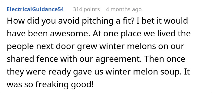 Comment about winter melons and sharing winter melon soup between neighbors. Comment about winter melons and sharing winter melon soup between neighbors.