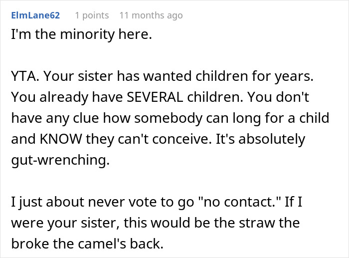 Screenshot of a Reddit comment criticizing a brother for adopting his deceased sibling's baby, highlighting sibling conflict. Screenshot of a Reddit comment criticizing a brother for adopting his deceased sibling's baby, highlighting sibling conflict.
