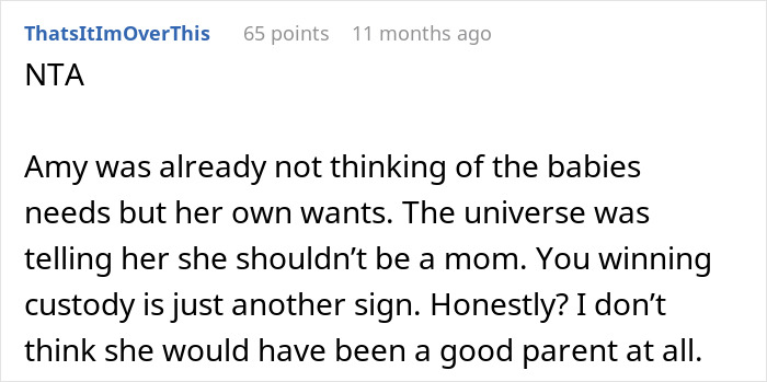 Reddit comment discussing custody after a deceased sibling's baby adoption, questioning another's parenting potential. Reddit comment discussing custody after a deceased sibling's baby adoption, questioning another's parenting potential.