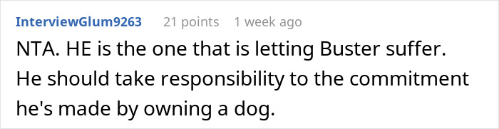 Comment criticizing boyfriend's spending on toys, urging responsibility for dog's vet bill. Comment criticizing boyfriend's spending on toys, urging responsibility for dog's vet bill.