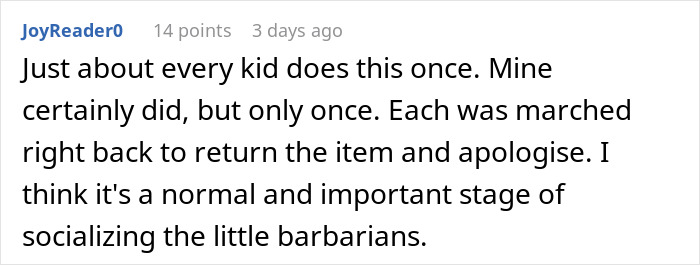 Text comment discussing kids learning to return stolen items, reflecting on socializing sticky-fingers niece and toy consequences. Text comment discussing kids learning to return stolen items, reflecting on socializing sticky-fingers niece and toy consequences.