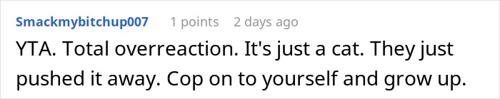 Comment criticizing someone for overreacting to mistreatment of their cat. Comment criticizing someone for overreacting to mistreatment of their cat.