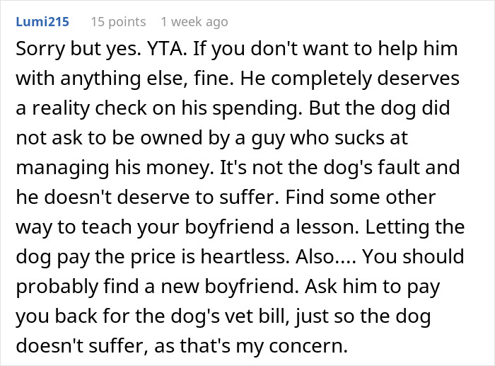 User comment about boyfriend spending on toys and refusing to pay for dog's vet bill, suggesting better money management. User comment about boyfriend spending on toys and refusing to pay for dog's vet bill, suggesting better money management.
