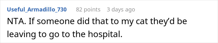 Comment defending a person accused of overreacting for kicking out a friend who mistreated their cat. Comment defending a person accused of overreacting for kicking out a friend who mistreated their cat.