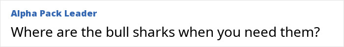 Comment by Alpha Pack Leader asking about bull sharks in relation to a surprising situation. Comment by Alpha Pack Leader asking about bull sharks in relation to a surprising situation.