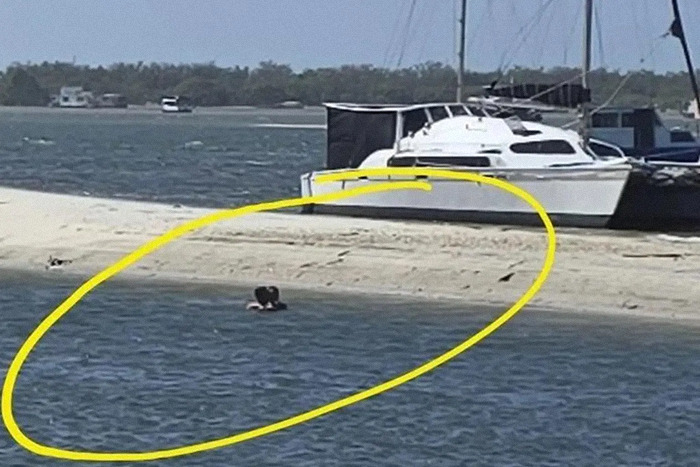 Couple in water near boat at public swimming spot, circled in image, linked to indecent act controversy. Couple in water near boat at public swimming spot, circled in image, linked to indecent act controversy.