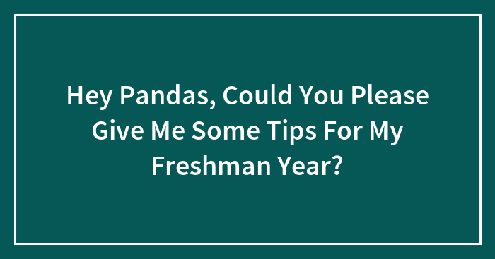 Hey Pandas, Could You Please Give Me Some Tips For My Freshman Year?