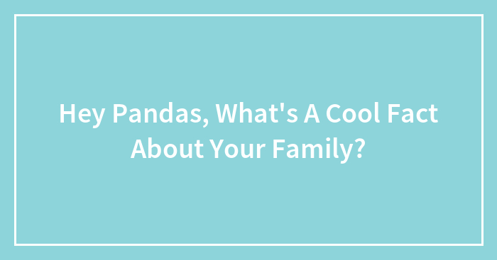 Hey Pandas, What’s A Cool Fact About Your Family?