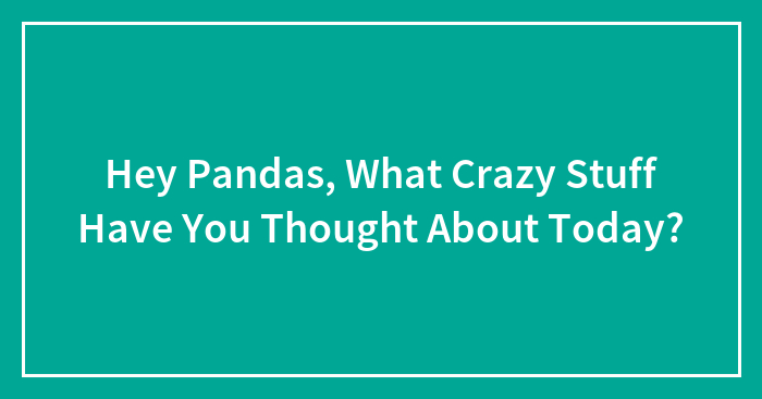 Hey Pandas, What Crazy Stuff Have You Thought About Today? (Closed)