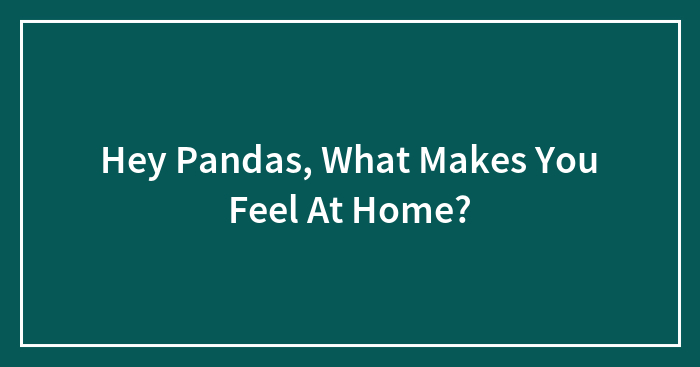 Hey Pandas, What Makes You Feel At Home? (Closed)