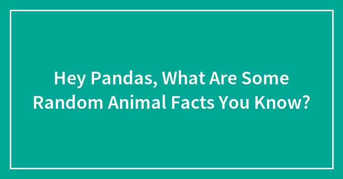 Hey Pandas, What Are Some Random Animal Facts You Know? (Closed)