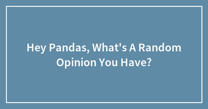 Hey Pandas, What’s A Random Opinion You Have? (Closed)