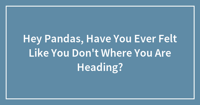 Hey Pandas, Have You Ever Felt Like You Don’t Where You Are Heading? (Closed)