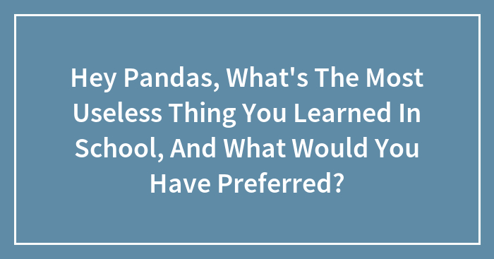 Hey Pandas, What’s The Most Useless Thing You Learned In School, And What Would You Have Preferred? (Closed)