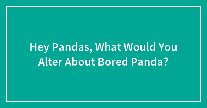 Hey Pandas, What Would You Alter About Bored Panda? (Closed)