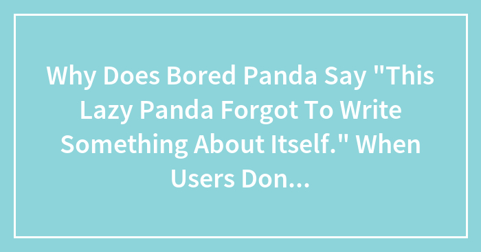 Why Does Bored Panda Say “This Lazy Panda Forgot To Write Something About Itself.” When Users Don’t Add A Description On Their User Page?