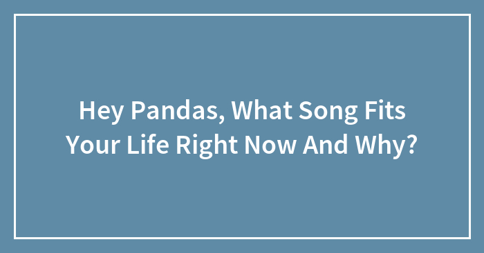 Hey Pandas, What Song Fits Your Life Right Now And Why?