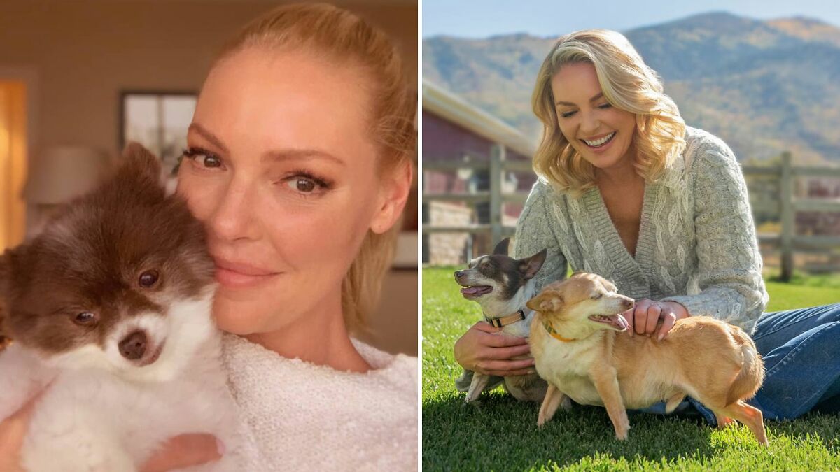 “Serial Complainer”: Katherine Heigl Sues Dog Rescue For Alleging She Abandoned Puppies