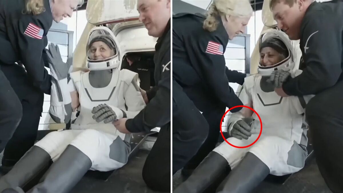 “More Trouble”: Doctors Spot Health Detail As Astronaut Was Stretchered Away After Landing