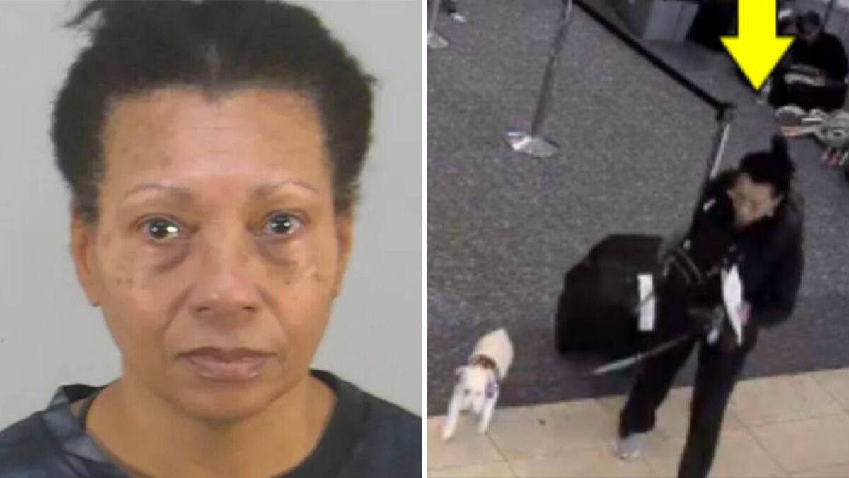 Woman Cold-Heartedly Ends Her Dog’s Life After Being Denied Boarding With It