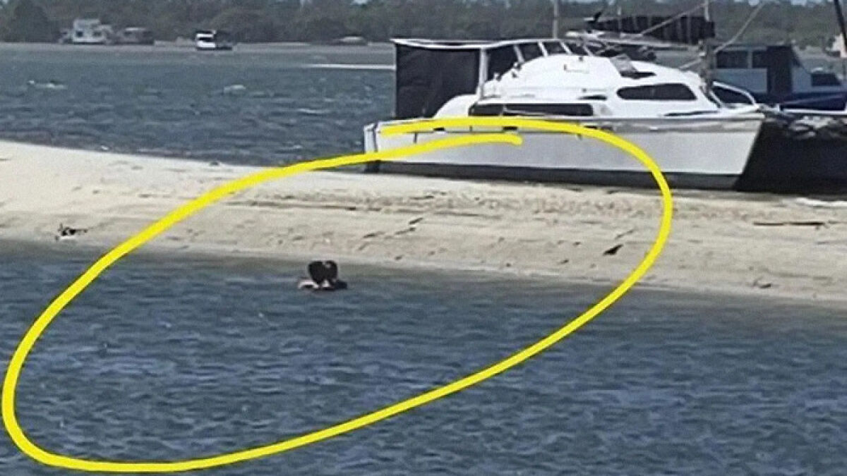 “Disgusting”: Couple Performing X-Rated Act At Family Swimming Spot Demands Money From Onlooker