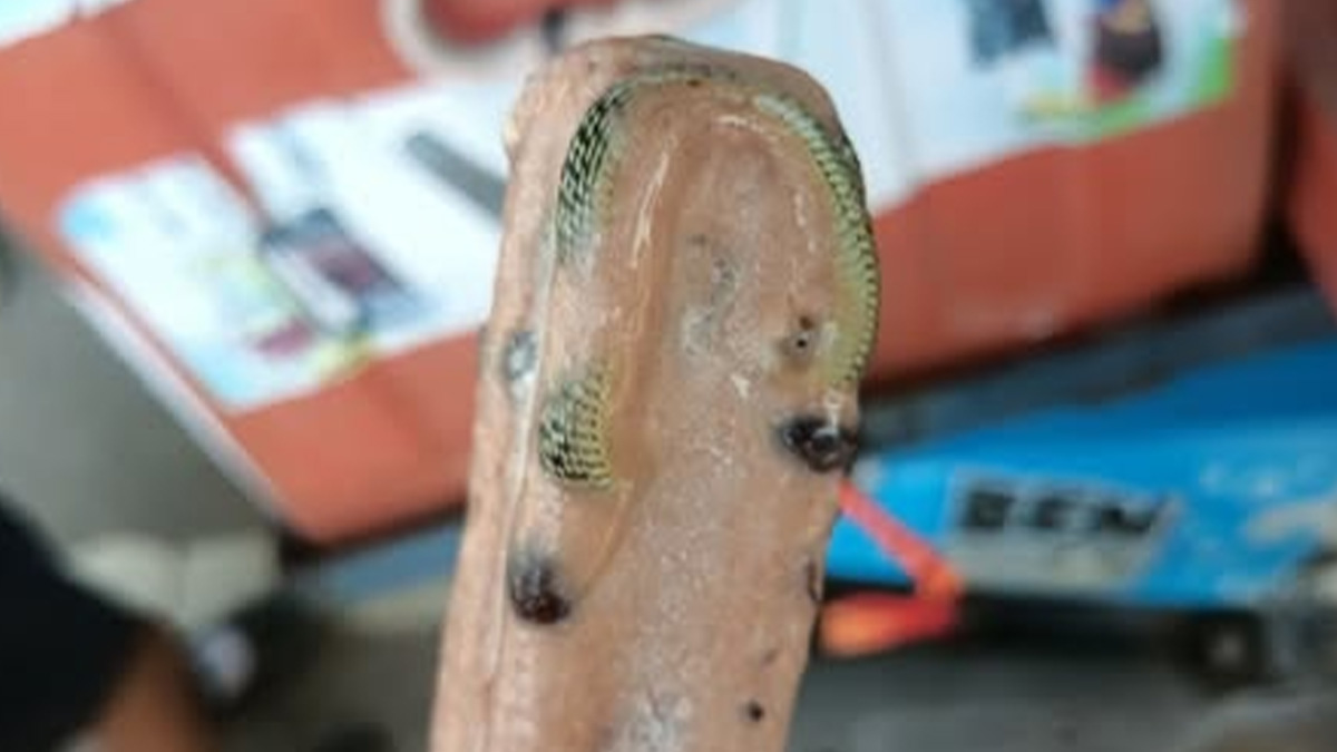 30 Times People Won The “Grossest Thing In Food” Bingo And Lost Their Appetite (New Pics)