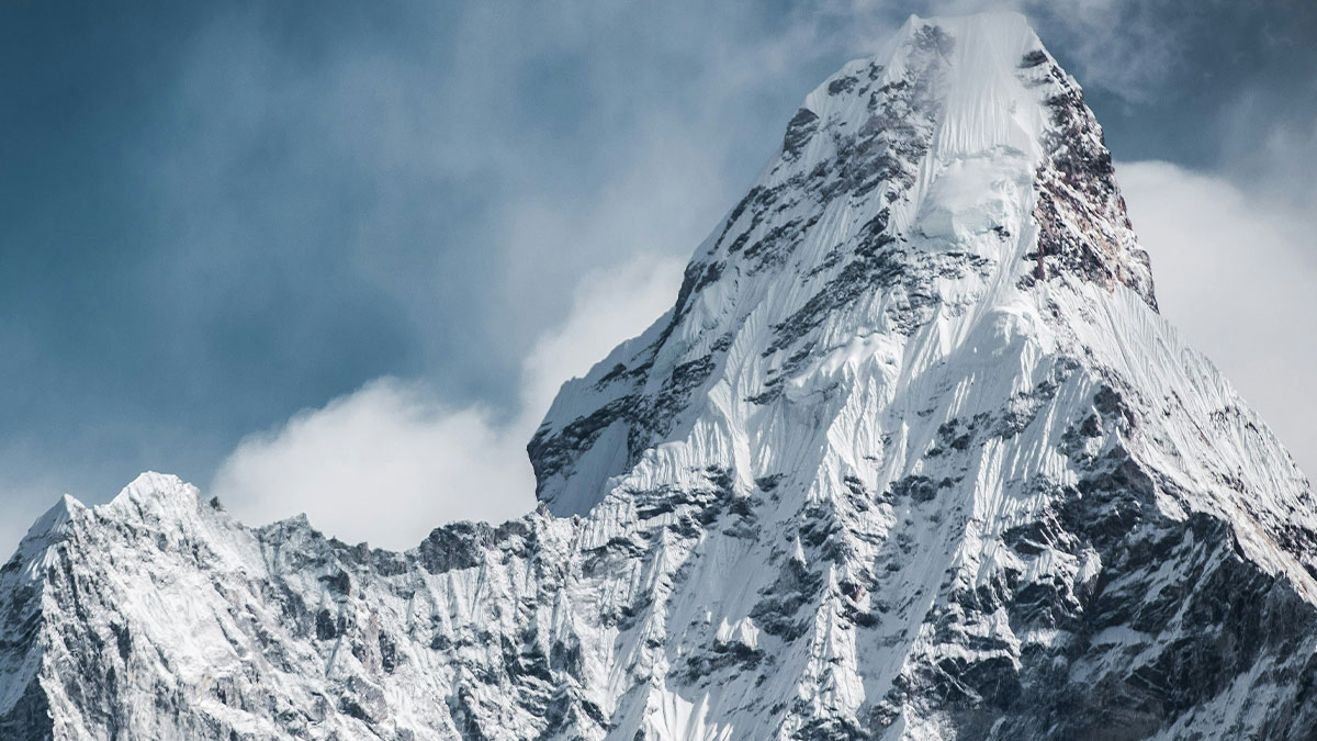 30 Terrifying Facts People Regret Ever Learning