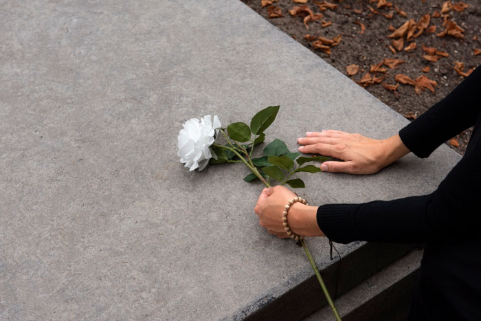 Hands place a white rose on a gray stone surface; a gesture of farewell and remembrance. Hands place a white rose on a gray stone surface; a gesture of farewell and remembrance.