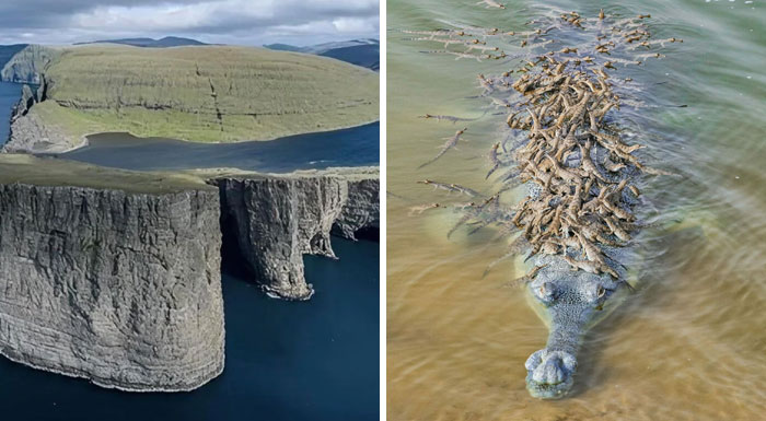 “Nature Is Freaking Lit”: 50 Pics To Prove That Nature Never Ceases To Amaze (New Pics)