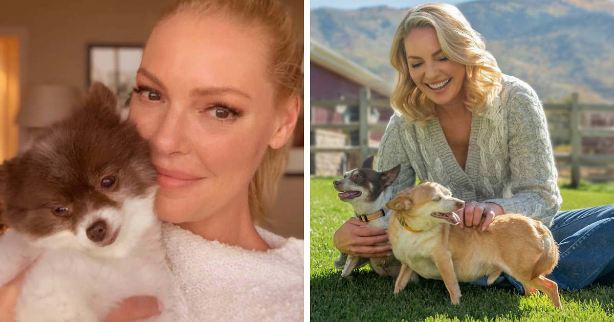 “Serial Complainer”: Katherine Heigl Sues Dog Rescue For Alleging She