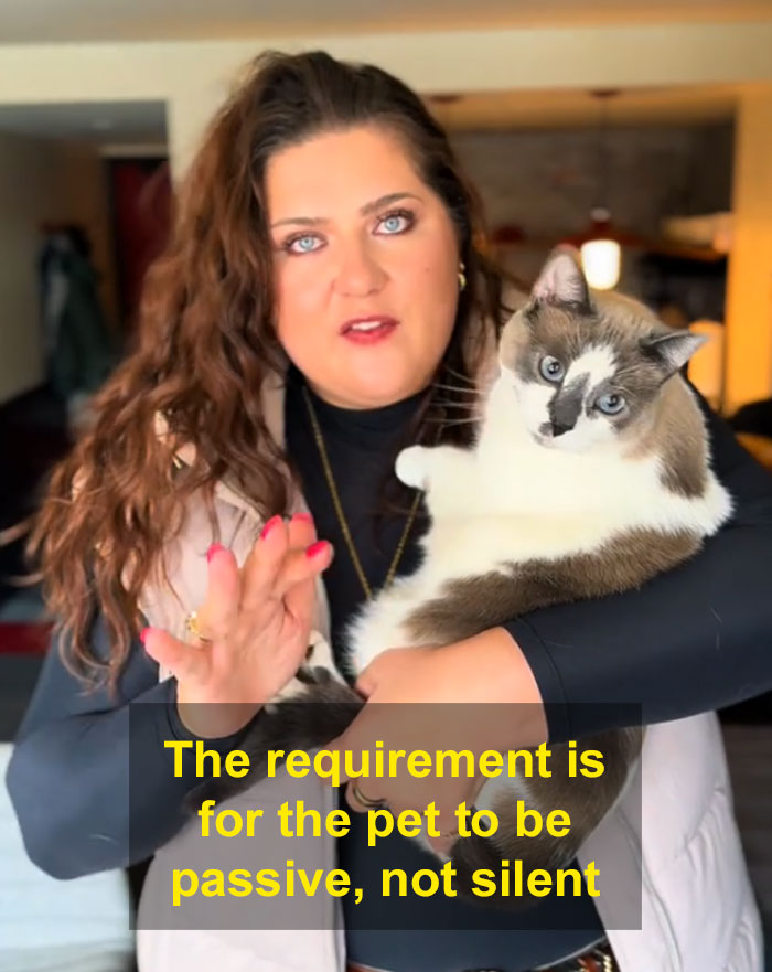 Person holding a cat indoors, discussing pet requirements on a flight. Person holding a cat indoors, discussing pet requirements on a flight.