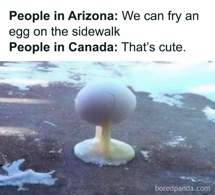 Egg frozen on sidewalk, with humorous text comparing Arizona and Canadian climates.