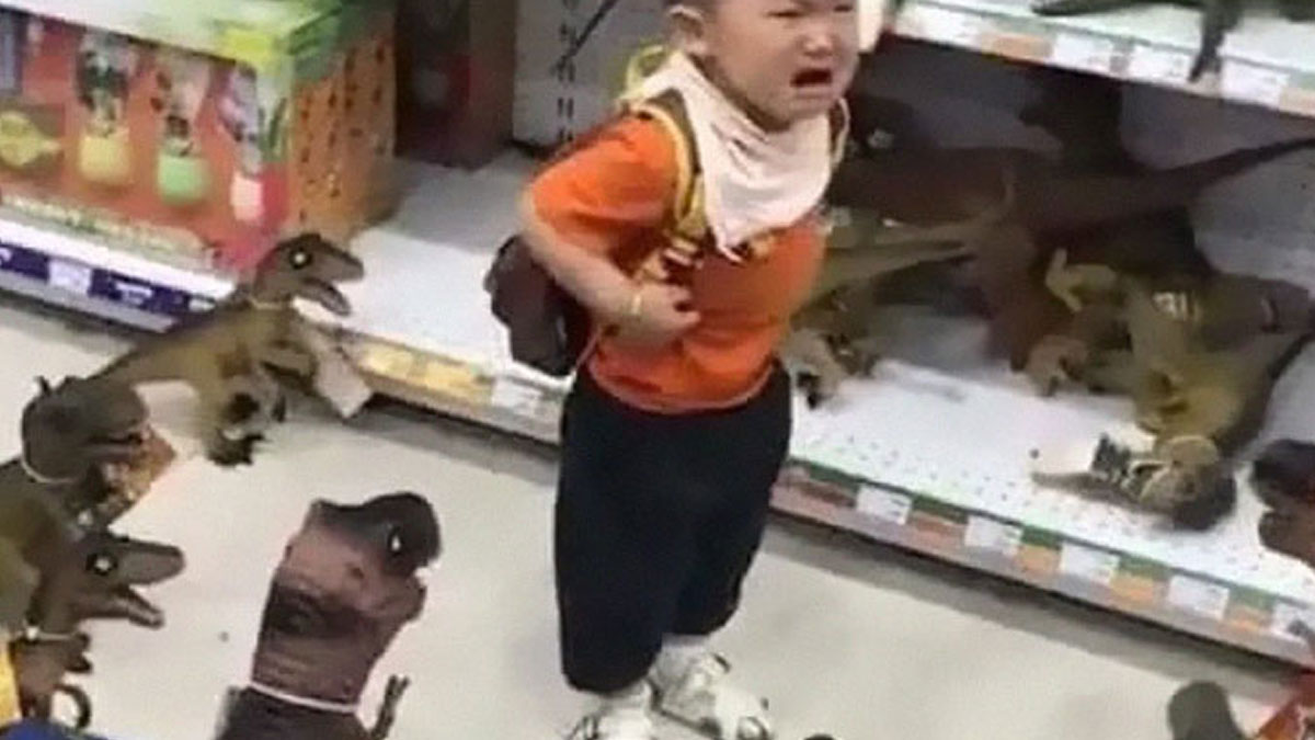 50 Hilariously Absurd Random Pics That Hit Like A Drunk Text At 3 AM