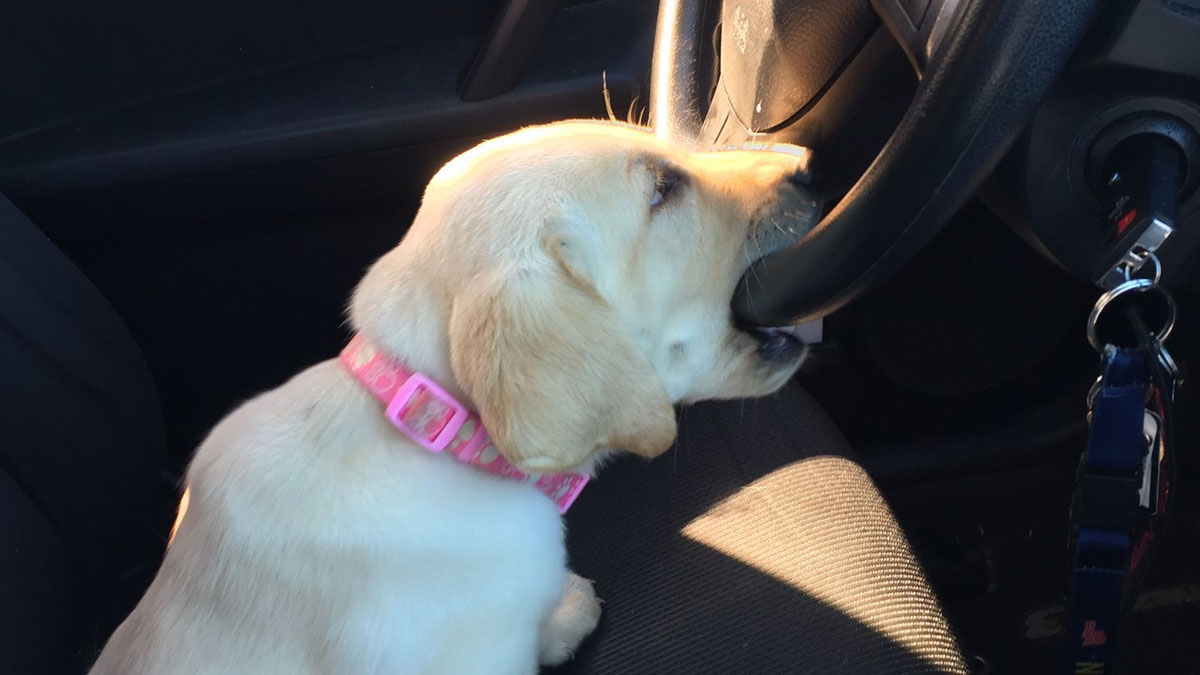 50 Of The Most Relatable, Wholesome, Funny, And Positive Internet Posts You Might See All Day