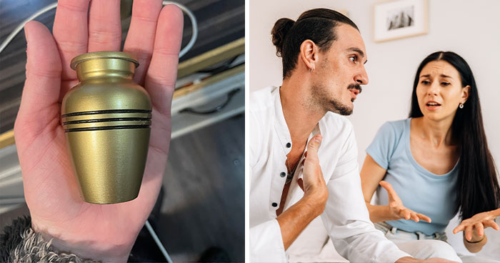 Man Tries To Get His GF Back After Internet Convinces Him He’s Wrong, He Makes It Worse